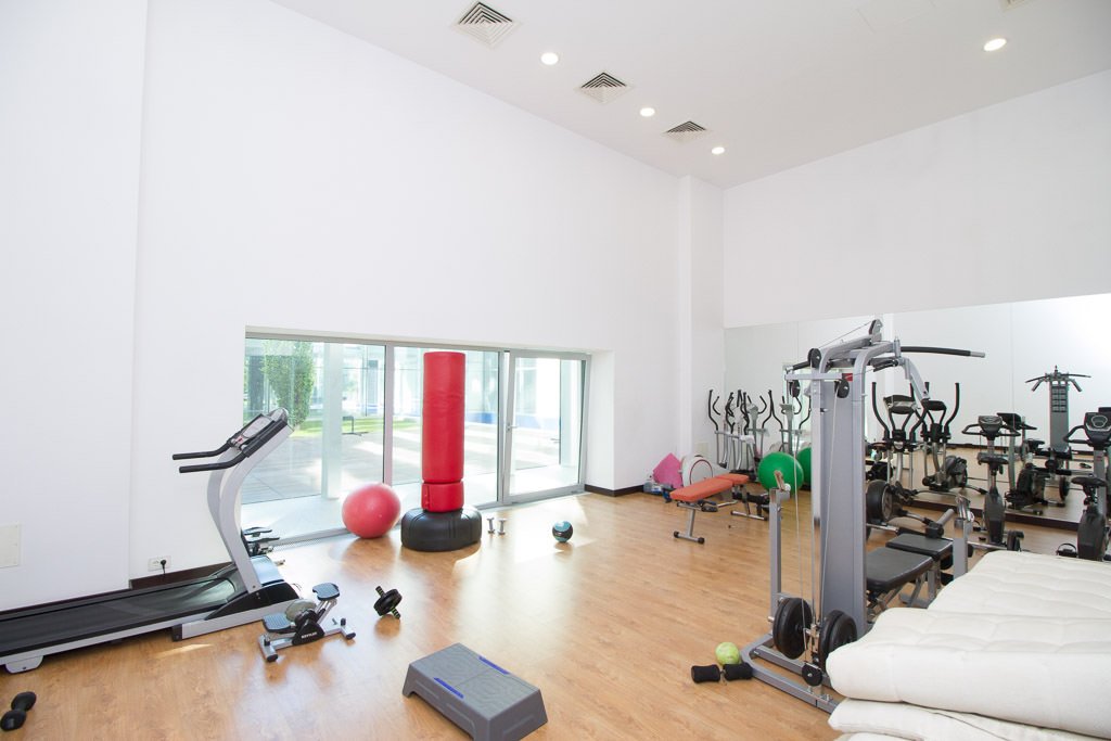 Premium Lux Alia Apartments la doi pasi de Kiseleff, Arcul de Triumf & Herastrau