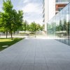 Premium Lux Alia Apartments la doi pasi de Kiseleff, Arcul de Triumf & Herastrau