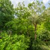 Drumul Taberei, Parc Moghioros, 3/4, bloc reabilitat
