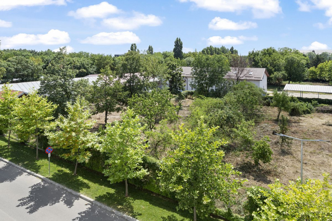 Drumul Taberei, Quadra Trees, Cooperativei, Parcare 