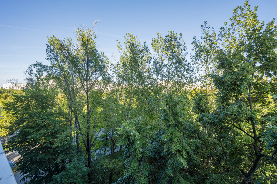 Drumul Taberei, Parc Moghioros, Parcare ADP