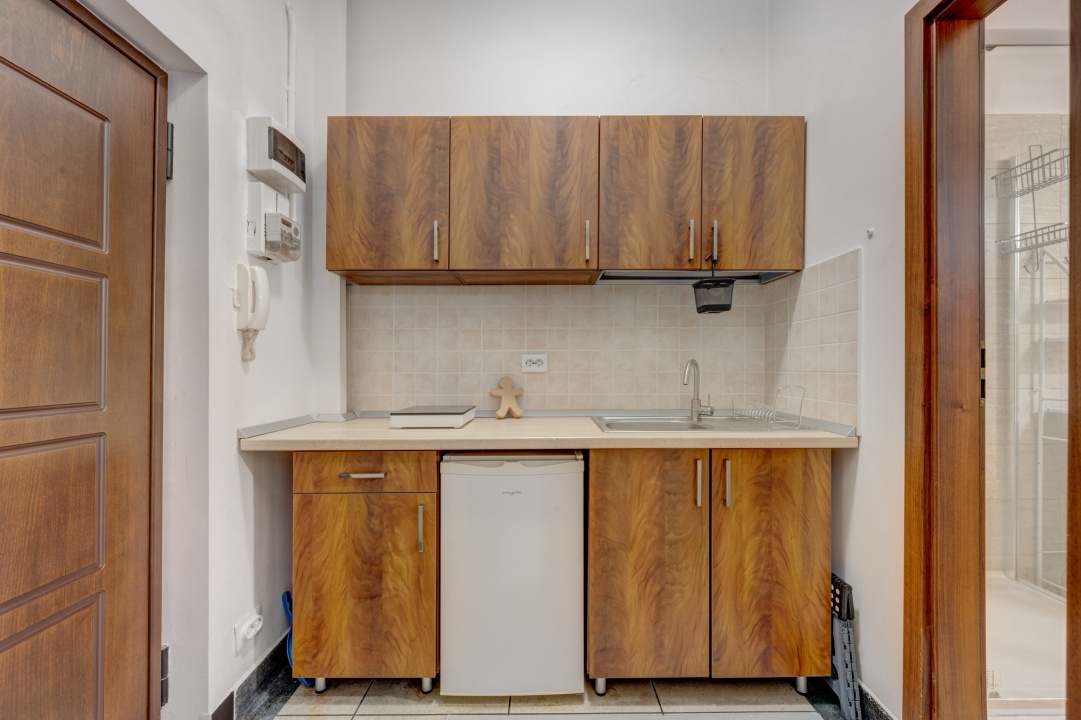 Universitate, Str. Maria Rosetti, Gradina Icoanei, parter/3,  Comision 0 %