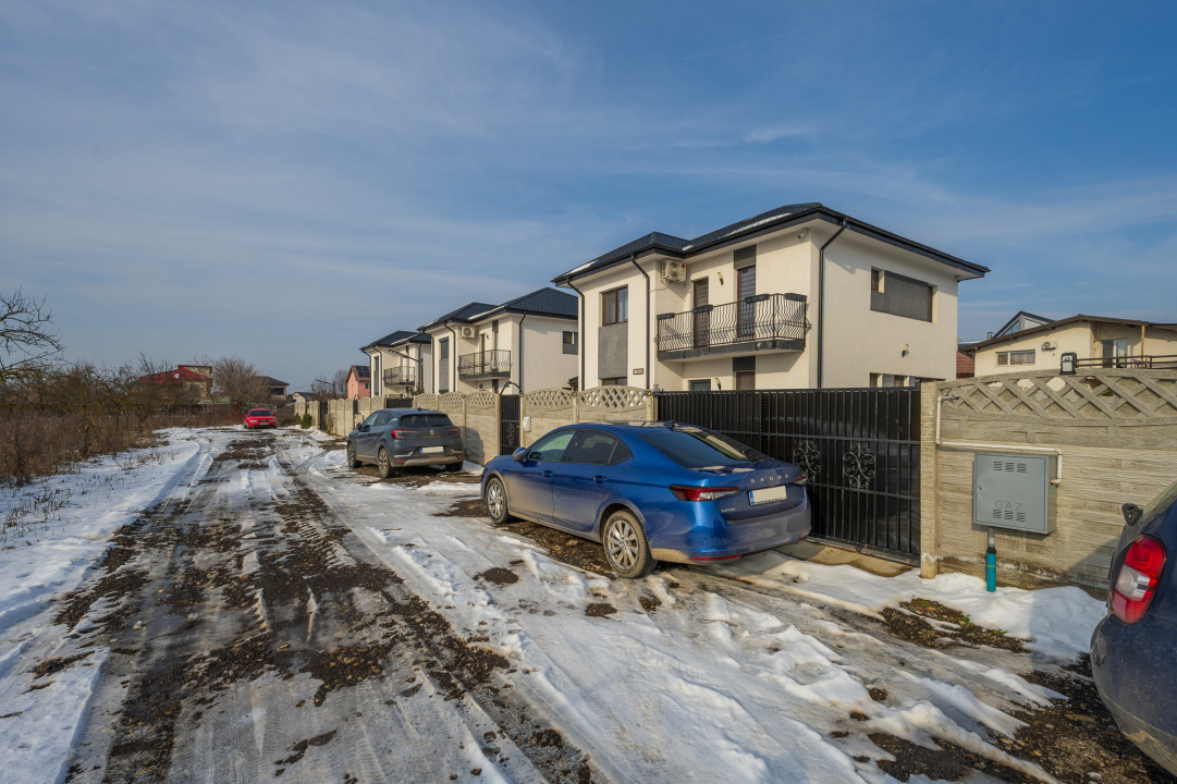 Domnesti, Putul Olteni, Str. Fortului, Casa Individuala, Mobilata,  Comision 0 %