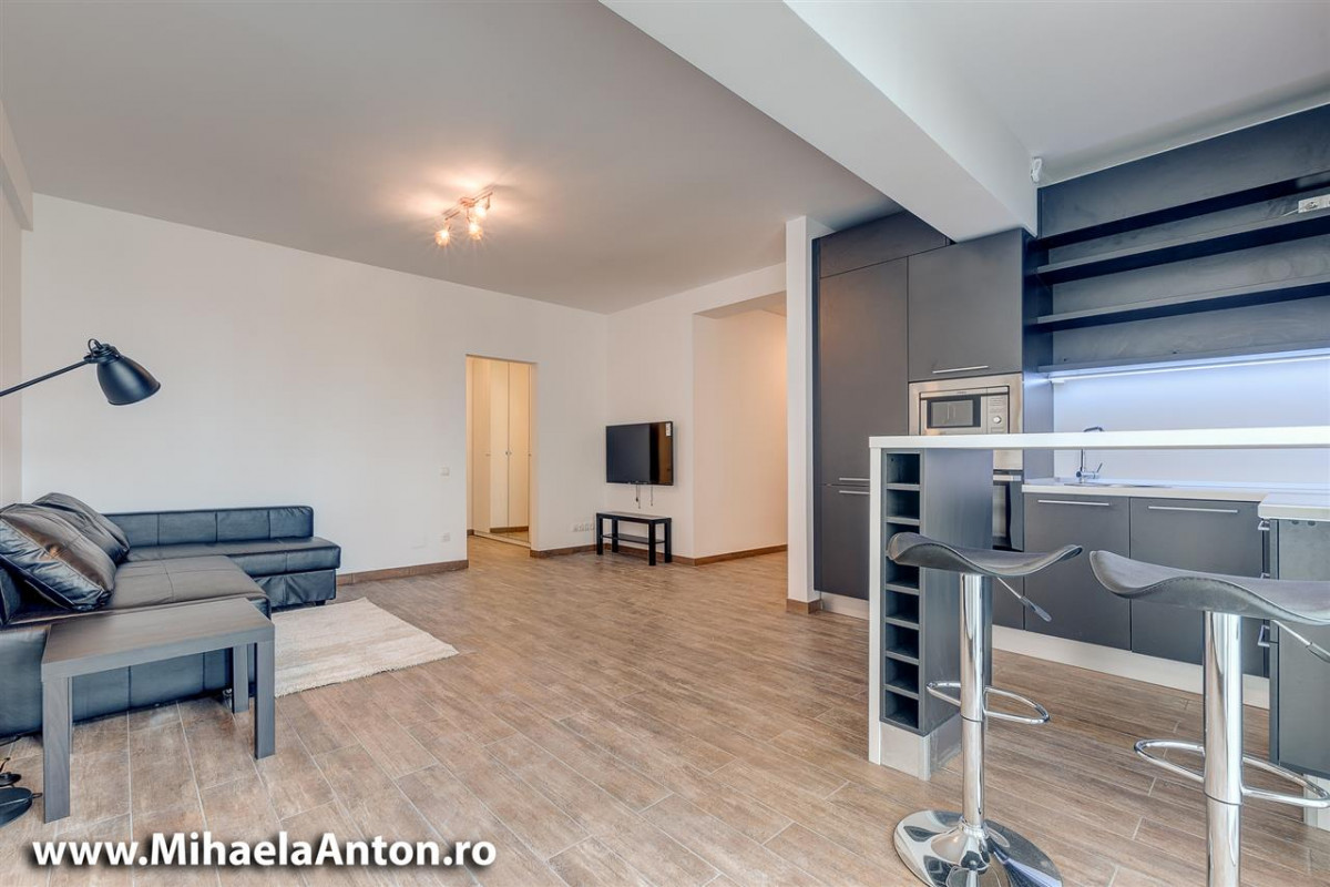 Studio Modern Drumul Taberei Eliezer Residence