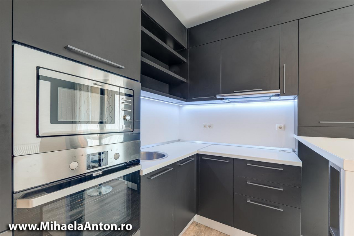 Studio Modern Drumul Taberei Eliezer Residence