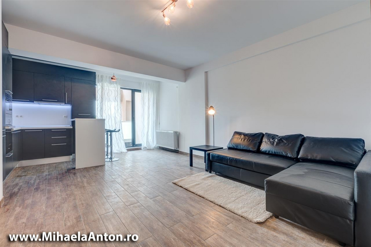 Studio Modern Drumul Taberei Eliezer Residence
