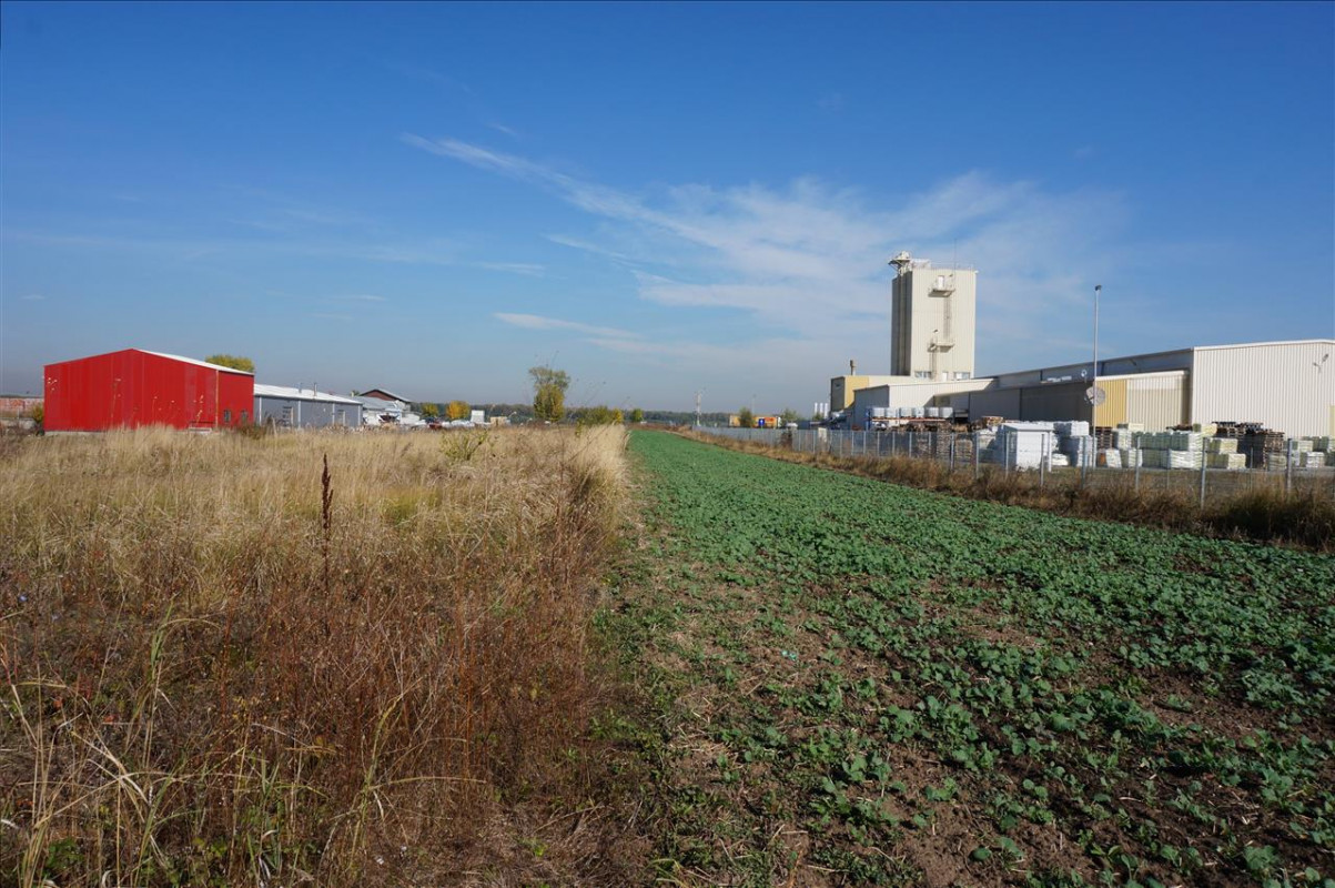 Teren intravilan 15500mp in Branesti, zona agricola-industriala! 