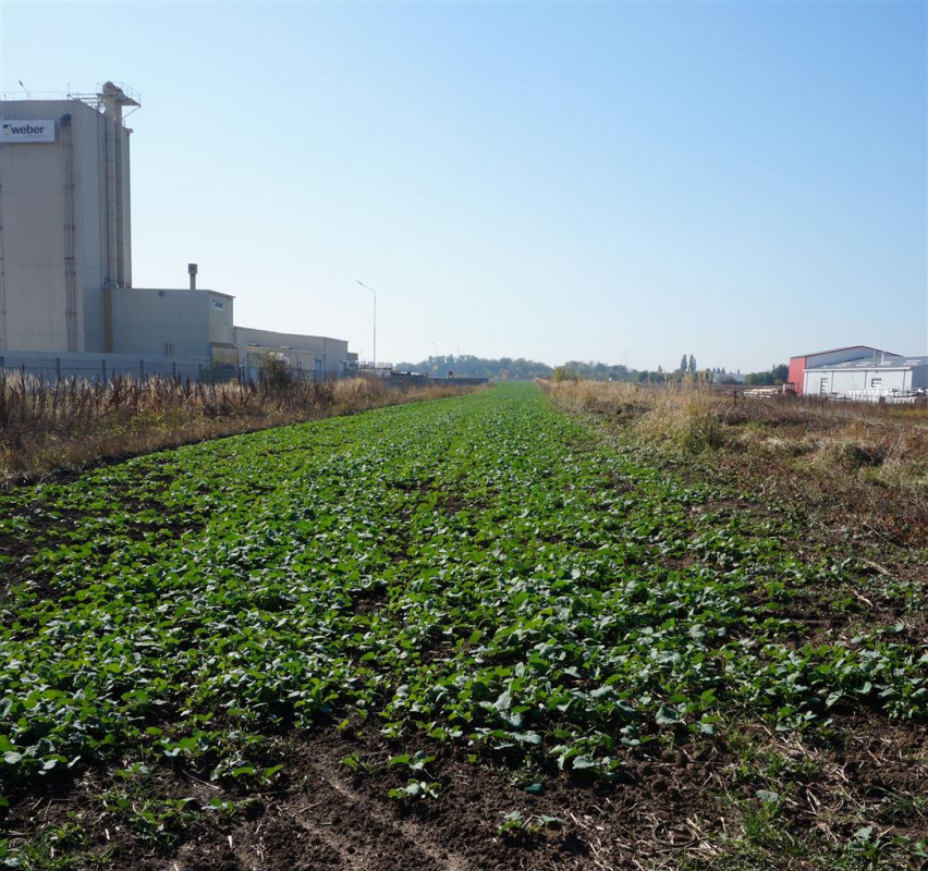 Teren intravilan 15500mp in Branesti, zona agricola-industriala! 