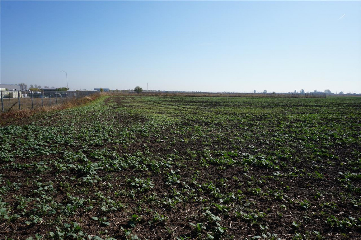 Teren intravilan 15500mp in Branesti, zona agricola-industriala! 