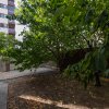 Vila Drumul Taberei, Duplex, Toate utilitatile,  comision 0 %