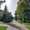 Locuinta ta luminoasa, cu pomi la geamuri, langa Parcul Bazilescu, loc parcare